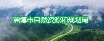 43954澳网