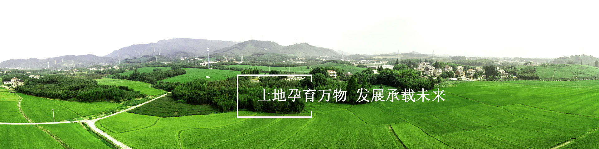 43954澳网