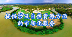 43954澳网