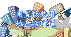 43954澳网