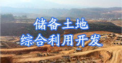 43954澳网