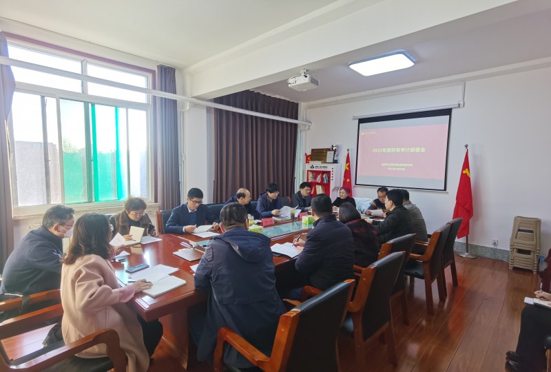 集团公司召开2022年度财务审计（信息）