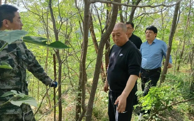 微信截图_20240509091746.png