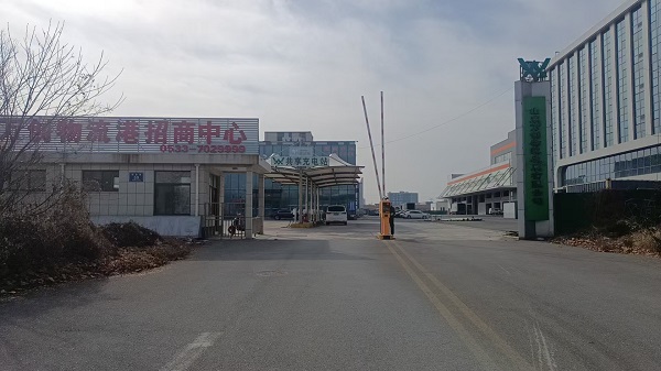 43954澳网