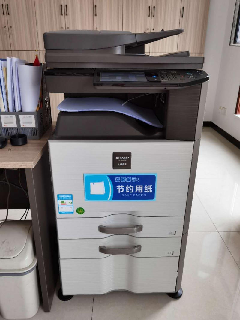43954澳网