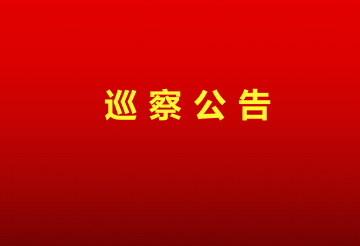 43954澳网